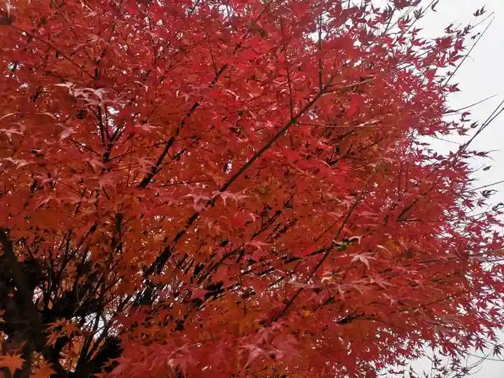 大成龍神社(広島県)