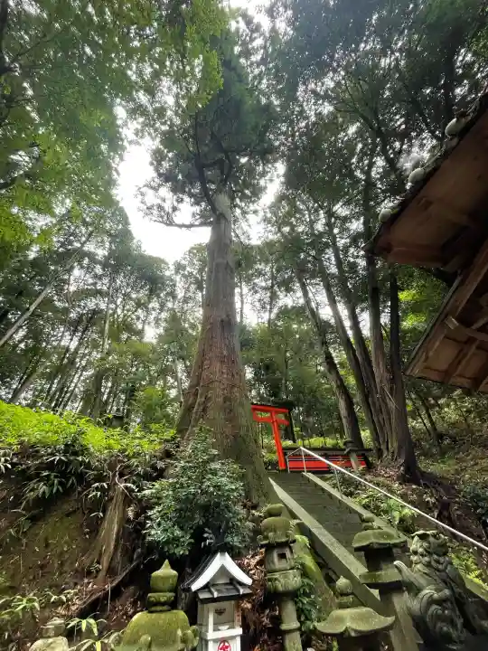 今井堂天満神社(奈良県)