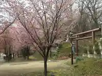 厚別神社の自然