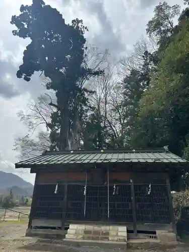 勝山八幡神社(山梨県)