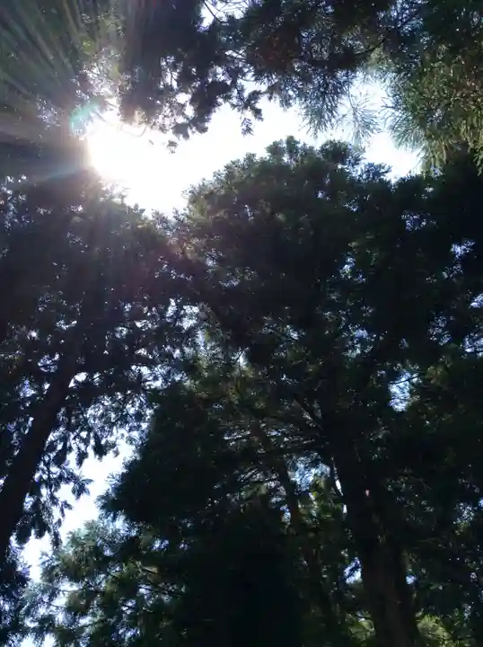 豊景神社の自然