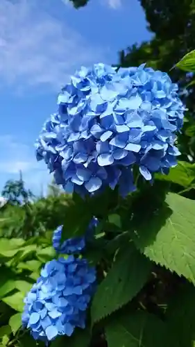 明鏡山龍雲寺の庭園