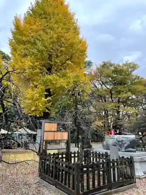 布多天神社(東京都)