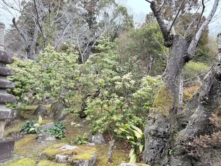 真龍寺(大阪府)