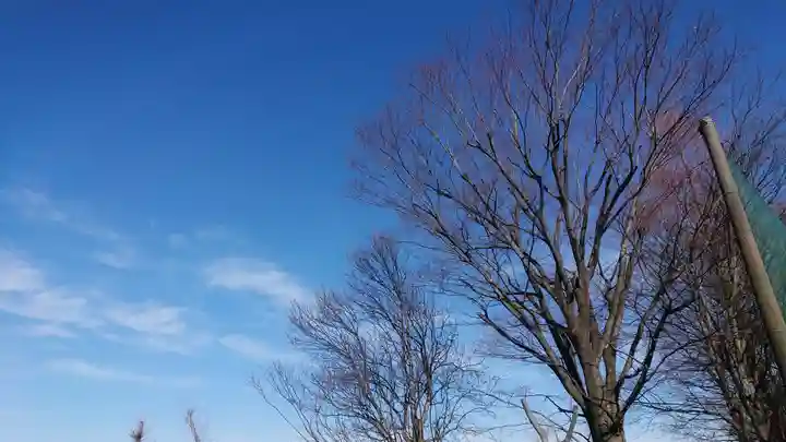 天神社(治郎丸東)の景色