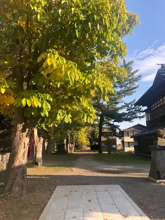 高増神社の建物その他