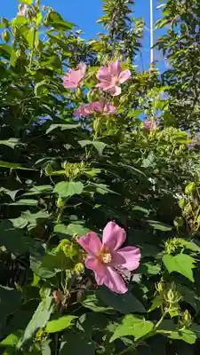 平野神社(京都府)