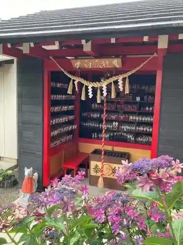 於菊稲荷神社(群馬県)