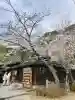 北野天満神社の{uncategorized: "未分類", other: "その他", undefined: "問題あり", building: "その他建物", grave: "お墓", sacred_gate: "鳥居", guardian: "狛犬", statue: "像", buddha: "仏像", history: "歴史", nature: "自然", garden: "庭園", animal: "動物", pagoda: "塔", temizu: "手水舎", mountain_gate: "山門・神門", sanctuary: "本殿・本堂", subordinate: "末社・摂社", art: "芸術", scenery: "景色", jizo: "地蔵", ema: "絵馬", goshuin: "御朱印", omikuji: "おみくじ", items: "授与品その他", amulet: "お守り", goshuincho: "御朱印帳", eats: "食事", festival: "お祭り", votive_dance: "神楽", shichigosan: "七五三参", wedding: "結婚式", experience: "体験その他", initially: "初詣", around: "周辺", anti_infection: "感染症対策"}