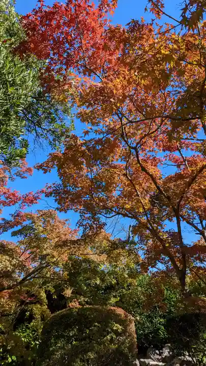 勧修寺(京都府)