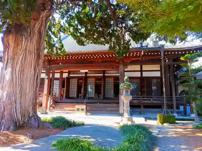 宝蓮寺の本殿・本堂