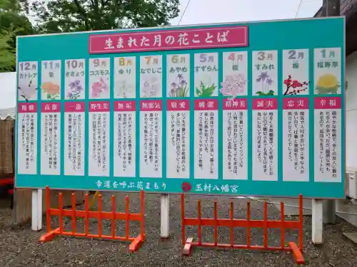玉村八幡宮(群馬県)