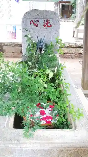 麻賀多神社の手水舎