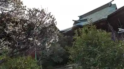 自性院(東京都)