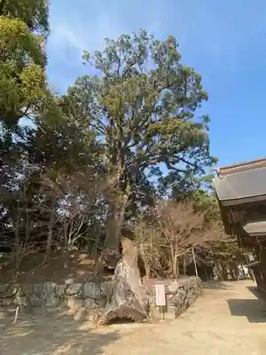 與止日女神社(佐賀県)