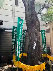 少彦名神社の自然