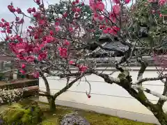 相国寺（相国承天禅寺）(京都府)