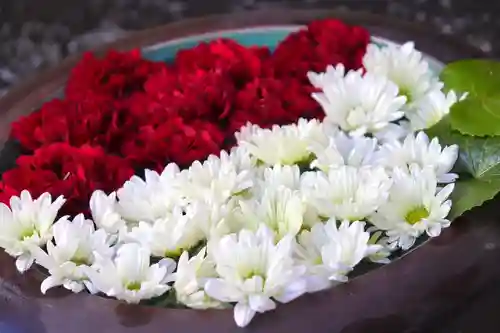 上尾御嶽神社の手水舎
