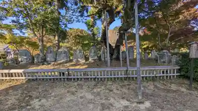 大覚寺(京都府)