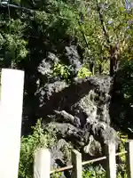 中村八幡宮の狛犬