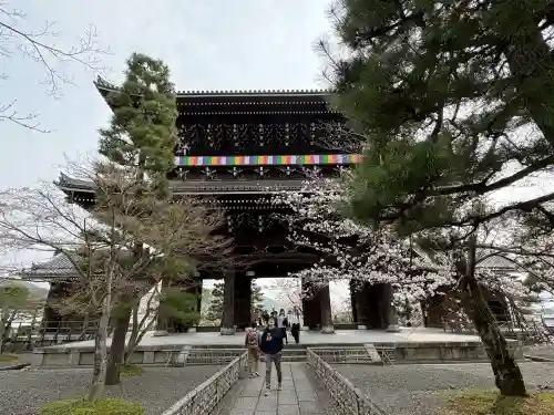 くろ谷 金戒光明寺の{uncategorized: "未分類", other: "その他", undefined: "問題あり", building: "その他建物", grave: "お墓", sacred_gate: "鳥居", guardian: "狛犬", statue: "像", buddha: "仏像", history: "歴史", nature: "自然", garden: "庭園", animal: "動物", pagoda: "塔", temizu: "手水舎", mountain_gate: "山門・神門", sanctuary: "本殿・本堂", subordinate: "末社・摂社", art: "芸術", scenery: "景色", jizo: "地蔵", ema: "絵馬", goshuin: "御朱印", omikuji: "おみくじ", items: "授与品その他", amulet: "お守り", goshuincho: "御朱印帳", eats: "食事", festival: "お祭り", votive_dance: "神楽", shichigosan: "七五三参", wedding: "結婚式", experience: "体験その他", initially: "初詣", around: "周辺", anti_infection: "感染症対策"}