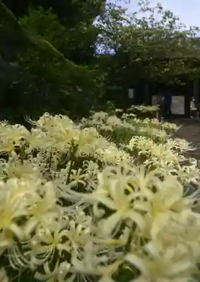 横浜　西方寺(神奈川県)