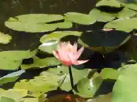 知恩院(京都府)