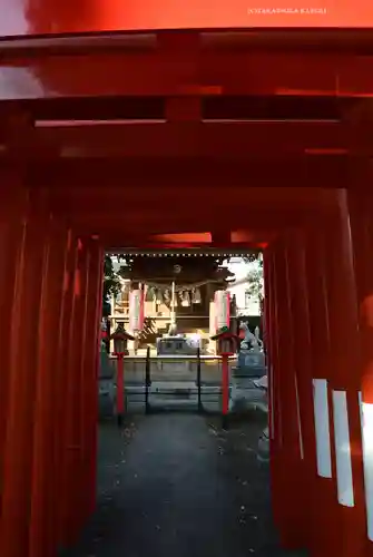 相模原氷川神社(神奈川県)