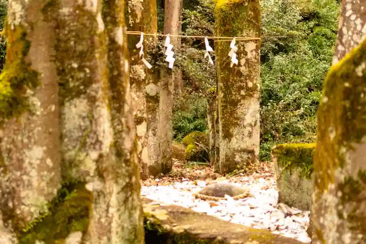 岐阜護國神社(岐阜県)