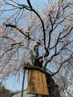 喜多院(埼玉県)