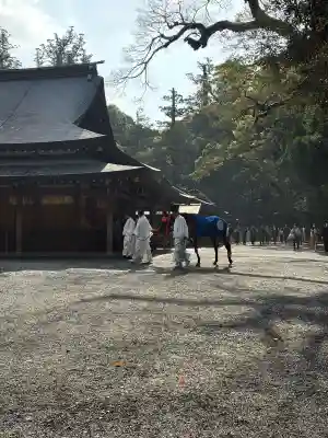 伊勢神宮内宮（皇大神宮）の{uncategorized: "未分類", other: "その他", undefined: "問題あり", building: "その他建物", grave: "お墓", sacred_gate: "鳥居", guardian: "狛犬", statue: "像", buddha: "仏像", history: "歴史", nature: "自然", garden: "庭園", animal: "動物", pagoda: "塔", temizu: "手水舎", mountain_gate: "山門・神門", sanctuary: "本殿・本堂", subordinate: "末社・摂社", art: "芸術", scenery: "景色", jizo: "地蔵", ema: "絵馬", goshuin: "御朱印", omikuji: "おみくじ", items: "授与品その他", amulet: "お守り", goshuincho: "御朱印帳", eats: "食事", festival: "お祭り", votive_dance: "神楽", shichigosan: "七五三参", wedding: "結婚式", experience: "体験その他", initially: "初詣", around: "周辺", anti_infection: "感染症対策"}