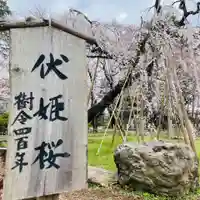 弘法寺の自然