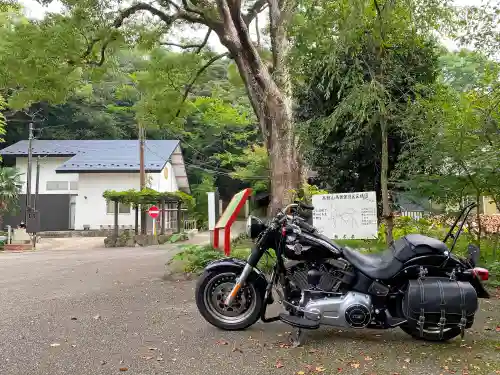 西明寺(栃木県)