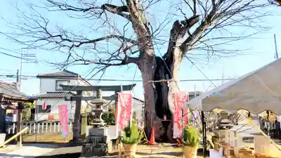 三ツ木神社(埼玉県)