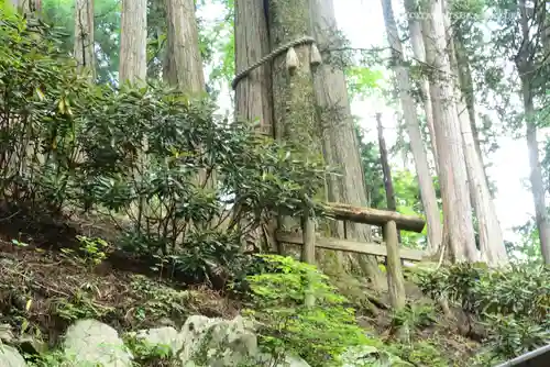 三峯神社の自然