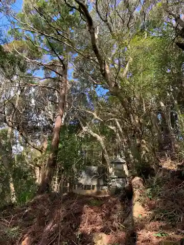 天津日神社の本殿・本堂