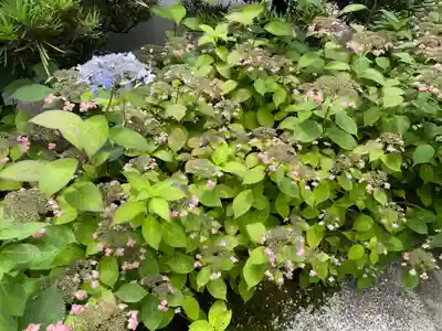 霊源院(京都府)
