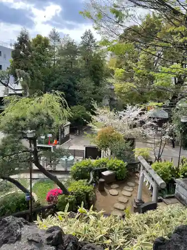 鳩森八幡神社の景色