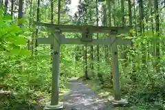 龍ヶ窪神社(新潟県)