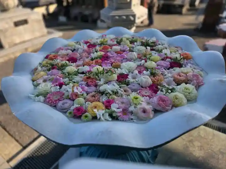 最明寺の{uncategorized: "未分類", other: "その他", undefined: "問題あり", building: "その他建物", grave: "お墓", sacred_gate: "鳥居", guardian: "狛犬", statue: "像", buddha: "仏像", history: "歴史", nature: "自然", garden: "庭園", animal: "動物", pagoda: "塔", temizu: "手水舎", mountain_gate: "山門・神門", sanctuary: "本殿・本堂", subordinate: "末社・摂社", art: "芸術", scenery: "景色", jizo: "地蔵", ema: "絵馬", goshuin: "御朱印", omikuji: "おみくじ", items: "授与品その他", amulet: "お守り", goshuincho: "御朱印帳", eats: "食事", festival: "お祭り", votive_dance: "神楽", shichigosan: "七五三参", wedding: "結婚式", experience: "体験その他", initially: "初詣", around: "周辺", anti_infection: "感染症対策"}