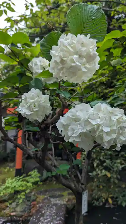 宝蔵寺(京都府)