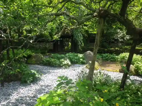 瑞泉寺の庭園