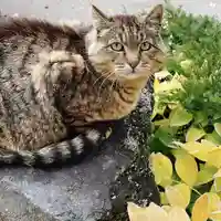 成田山大照寺(北海道)