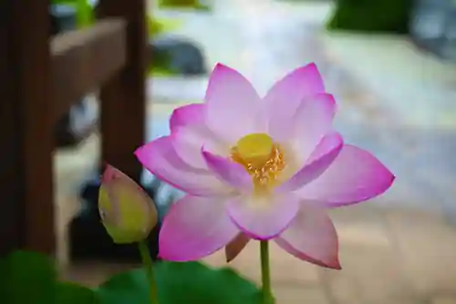 法源寺(山梨県)