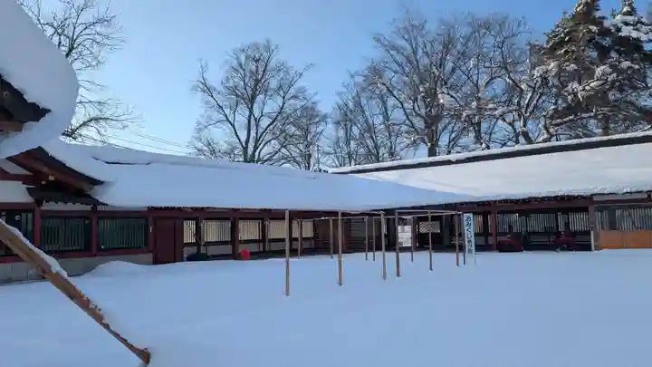 北海道護國神社のおみくじ