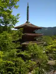 長谷寺(奈良県)