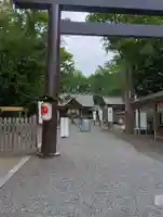 旭川神社の鳥居