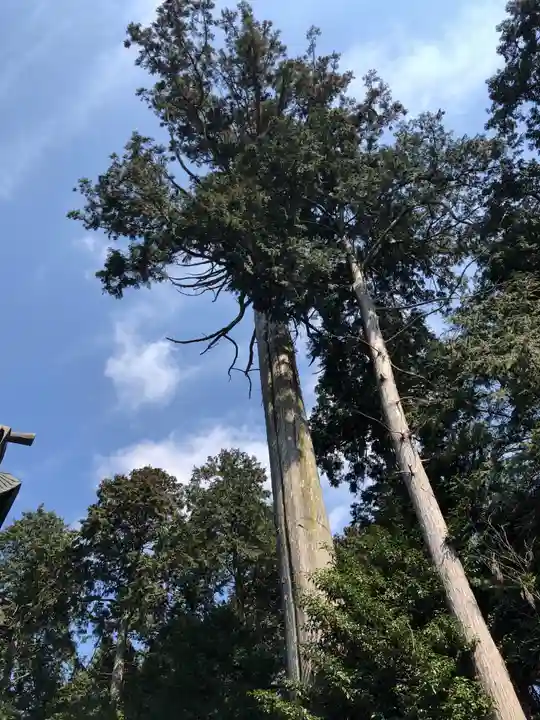 花枝神社の自然