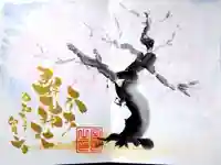 縣主神社の御朱印