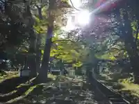 諏訪大社上社前宮の景色